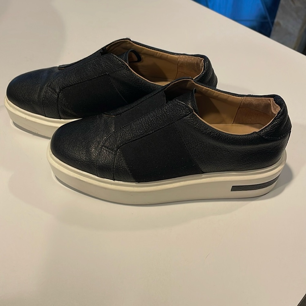 Paolo Platform Slides